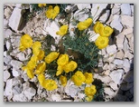Immagini dall'Abruzzo in estate