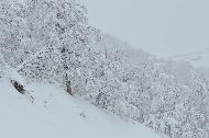 Campo Felice sotto una fitta nevicata