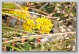 I Colori dell'estate in Abruzzo