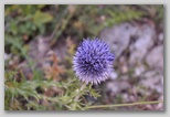 I Colori dell'estate in Abruzzo