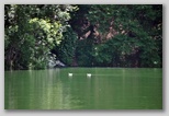 Lago di San Domenico, tra le Gole del Sagittario, tra Anversa degli Abruzzi e Villalago ai margini del Parco Nazionale d'Abruzzo, Lazio e Molise