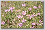 Da Scoppito, ai piedi del Monte Calvo.