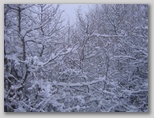 I colori dell'inverno in Abruzzo: la regione più innevata d'Italia