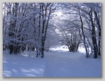 I colori dell'inverno in Abruzzo: la regione più innevata d'Italia