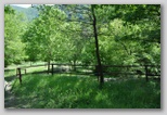Le fioriture di primavera; fiore piante e colori d'Abruzzo
