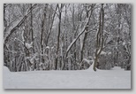 La nevicata del 3 febbraio 2012: le foto scattate domenica a L'Aquila e dintorni
