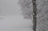 Campo Felice sotto una fitta nevicata