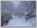 I colori dell'inverno in Abruzzo: la regione più innevata d'Italia