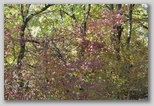 I Colori dell'autunno in Abruzzo