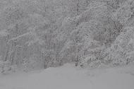 Campo Felice sotto una fitta nevicata