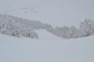 Campo Felice sotto una fitta nevicata