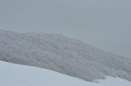 Campo Felice sotto una fitta nevicata