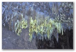 Sala delle concrezioni e Lago Negro, tra la prima e la seconda cascata delle grotte. La formazione di concrezioni insieme alle luci disposte dai tecnici rende il paesaggio davvero affascintante. La presenza dell'acqua è costante e le grotte rappresentano una delle magnificenze che madre natura ci propone