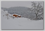 La nevicata del 3 febbraio 2012: le foto scattate domenica a L'Aquila e dintorni. La zona di Scoppito.