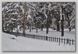 La nevicata del 3 febbraio 2012: le foto scattate domenica a L'Aquila e dintorni. Paganica.
