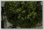 I Colori dell'estate in Abruzzo