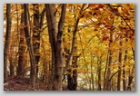 I Colori dell'autunno in Abruzzo