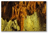 Le concrezioni che si dividono in stalattiti (concrezioni di calcare che si formano dall'alto verso il basso) e stalagmiti (concrezioni di calcare che si formano dal basso verso l'alto) e colonne (unione di una stalattite a una stalagmite). E' importantissimo sapere che queste concrezioni non vadano assolutamente toccate. Infatti il grasso presente sulle nostre mani impedirà alla concrezione di conitnuarsi a formare.