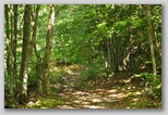 Pietracamela during the summer season. A walk towards Prati di Tivo from 950 to 1450 meters.