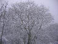 Fotografia a cura di Alessandro Ludovici