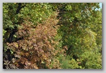 I Colori dell'autunno in Abruzzo