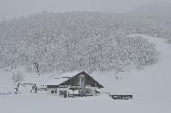 Campo Felice sotto una fitta nevicata