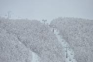 Campo Felice sotto una fitta nevicata