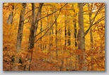 I Colori dell'autunno in Abruzzo