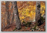 I Colori dell'autunno in Abruzzo