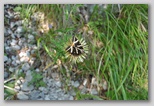 Fara San Martino in the Maiella National Park and the Gole di San Martino