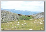 Il Parco Regionale del Velino Sirente