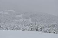 Campo Felice sotto una fitta nevicata