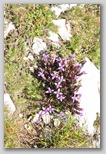I Colori dell'estate in Abruzzo