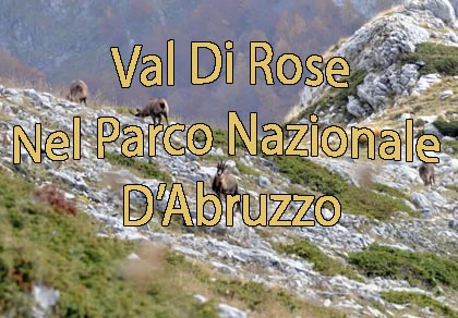 Val di Rose, Trekking und Skibergsteigen