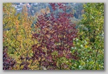 I Colori dell'autunno in Abruzzo