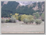I Colori dell'autunno in Abruzzo