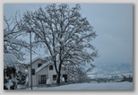 La nevicata del 3 febbraio 2012: le foto scattate domenica a L'Aquila e dintorni. La zona di Scoppito sotto il Monte Calvo.
