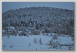 La nevicata del 3 febbraio 2012: le foto scattate domenica a L'Aquila e dintorni. La zona di Scoppito sotto il Monte Calvo.