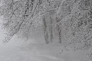 Campo Felice sotto una fitta nevicata
