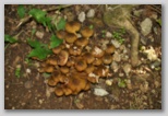 I colori dell'autunno in Abruzzo