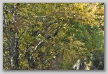 I Colori dell'autunno in Abruzzo