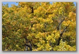 I Colori dell'autunno in Abruzzo