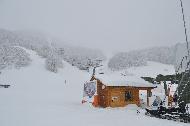 Campo Felice sotto una fitta nevicata
