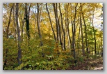 I Colori dell'autunno in Abruzzo