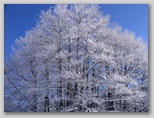 I colori dell'inverno in Abruzzo: la regione più innevata d'Italia