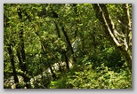 Pietracamela during the summer season. A walk towards Prati di Tivo from 950 to 1450 meters.