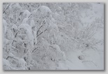 I colori dell'inverno in Abruzzo: la regione più innevata d'Italia