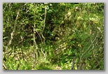 Pietracamela during the summer season. A walk towards Prati di Tivo from 950 to 1450 meters.