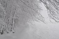 Campo Felice sotto una fitta nevicata