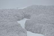 Campo Felice sotto una fitta nevicata